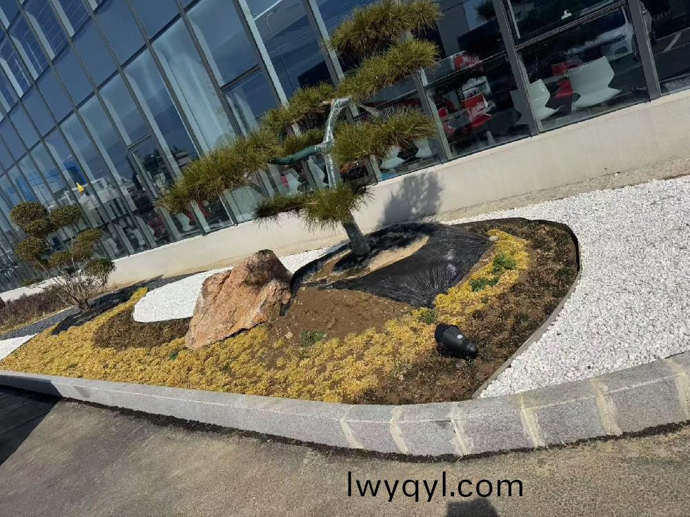 宿遷某(mou)瑞森企業(yè)(ye)廠房(fang)內(nèi)部綠化(hua)